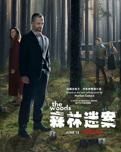 森林谜案的海报-其他海报 中国大陆