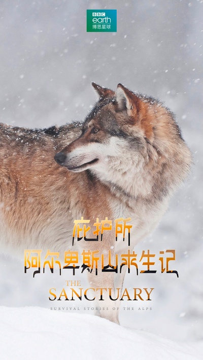 庇护所：阿尔卑斯山求生记的海报-正式海报 中国大陆