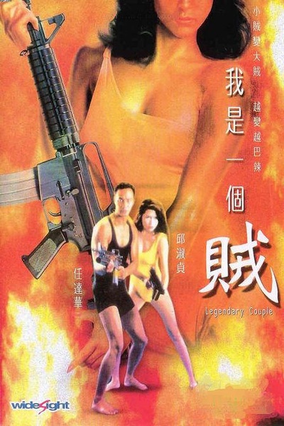 我是一个贼的海报-正式海报