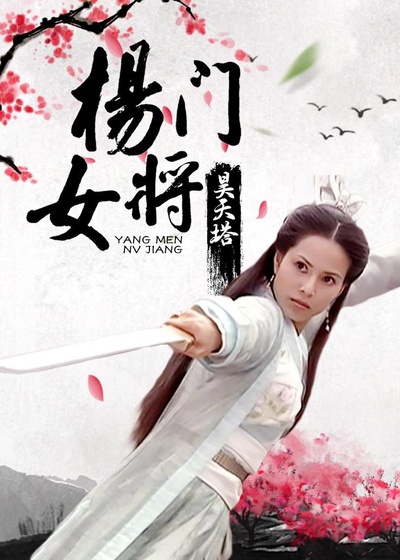 杨门女将之昊天塔的海报-正式海报