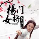 杨门女将之昊天塔
