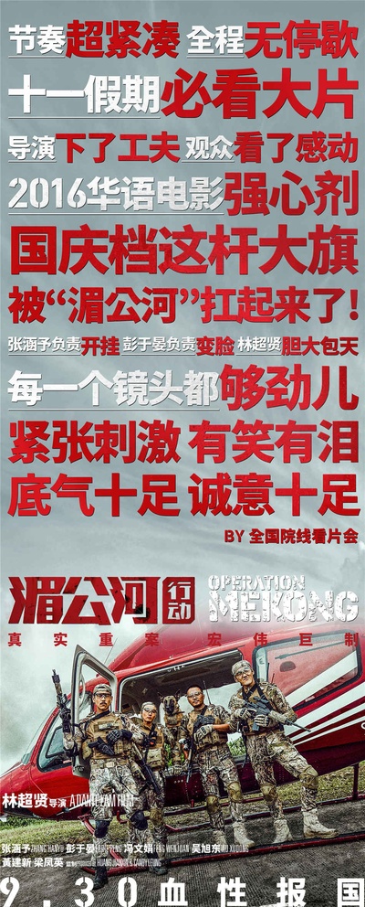 湄公河行动的海报-其他海报 中国大陆