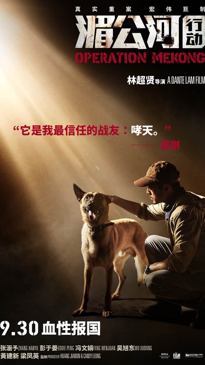湄公河行动的海报-其他海报 中国大陆