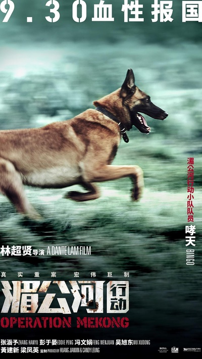 湄公河行动的海报-其他海报 中国大陆