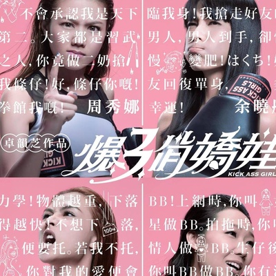 霹雳囧花的海报-其他海报