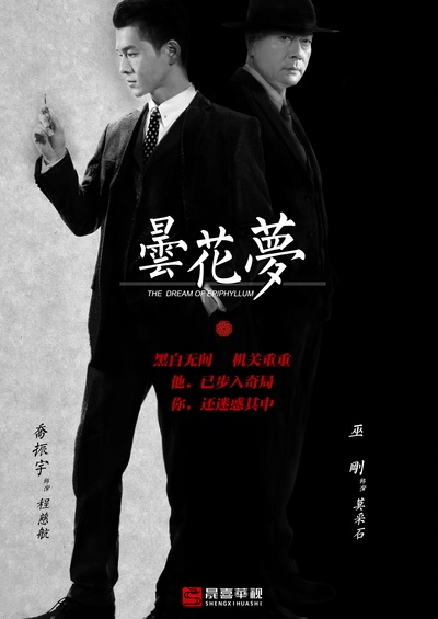 昙花梦的海报-正式海报 中国大陆