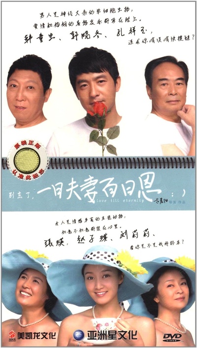 一日夫妻百日恩的海报-正式海报