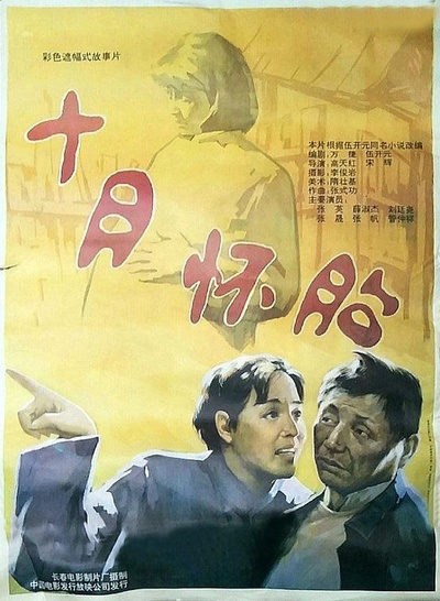 甘泉村的风波的海报-正式海报