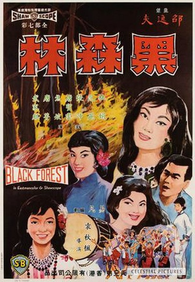 黑森林的海报-正式海报