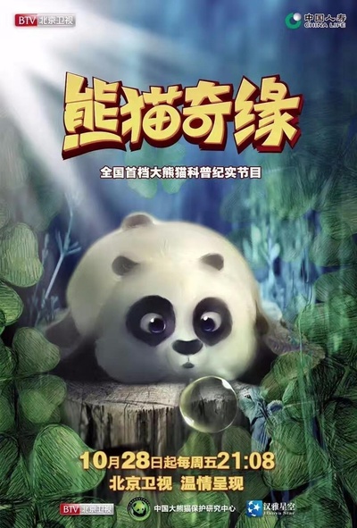 熊猫奇缘的海报-正式海报