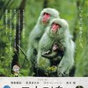 日本列岛 动物物语