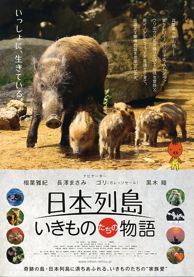 日本列岛 动物物语的海报-正式海报 日本