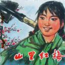 山里红梅