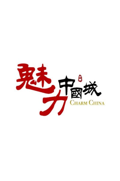 魅力中国城 第一季的海报-正式海报