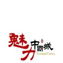 魅力中国城 第一季