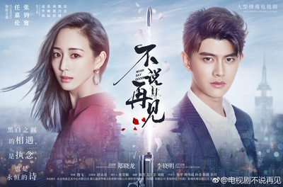 不说再见的海报-其他海报