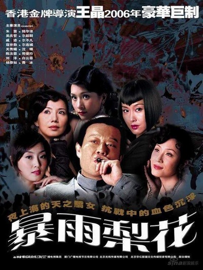 暴雨梨花的海报-正式海报