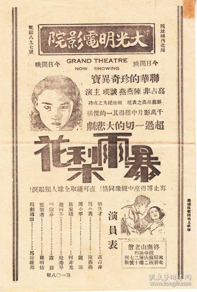 暴雨梨花的海报-正式海报