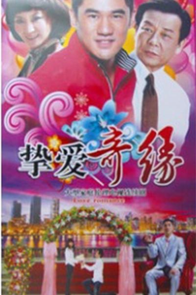 挚爱奇缘的海报-正式海报