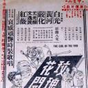 玫瑰花开