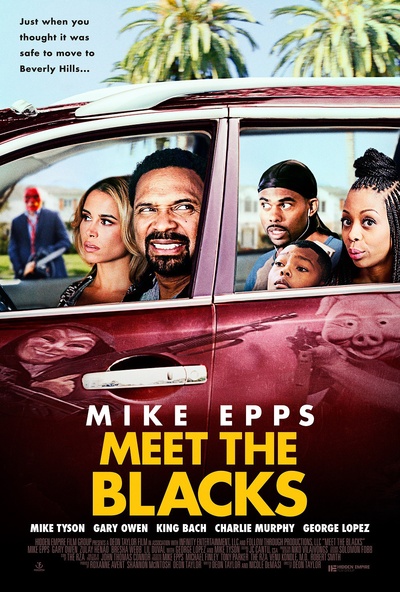 拜见布莱克一家的海报-正式海报 美国