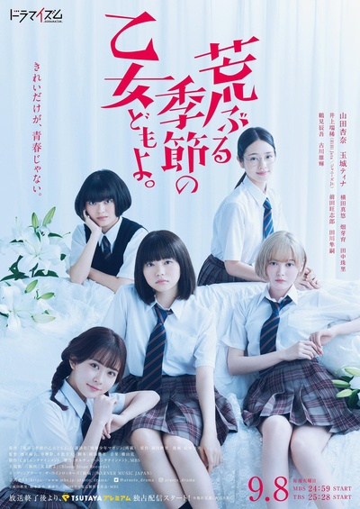 骚动时节的少女们啊的海报-正式海报