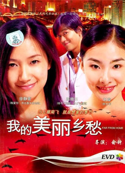 我的美丽乡愁的海报-正式海报