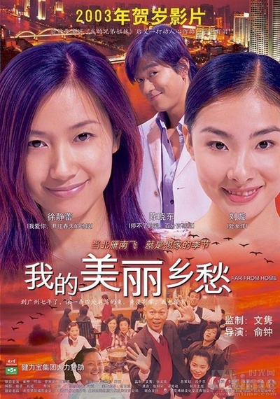我的美丽乡愁的海报-其他海报