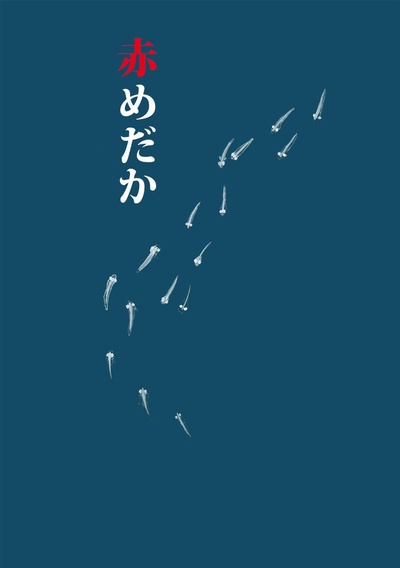 红鳉鱼的海报-正式海报