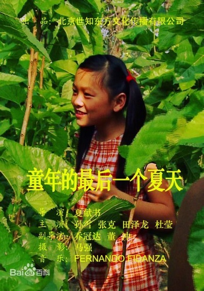 童年的最后一个夏天的海报-其他海报