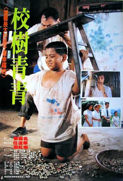 校树青青的海报-正式海报