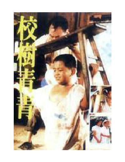 校树青青的海报-正式海报