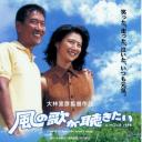 欲听风吟