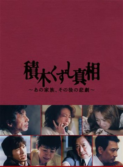积木倒塌真相的海报-正式海报