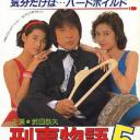 刑事物语5：片山刑警在山城