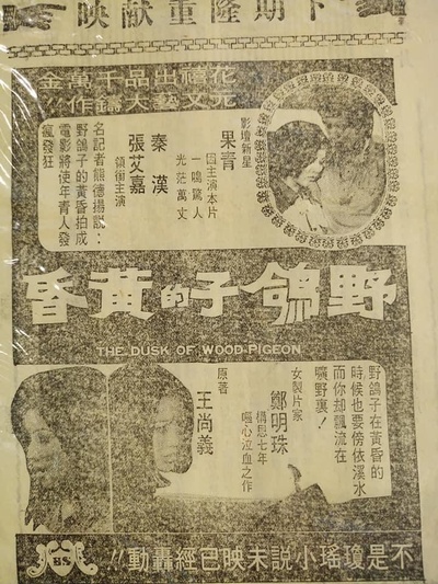 野鴿子的黃昏的海报-正式海报
