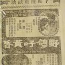 野鴿子的黃昏