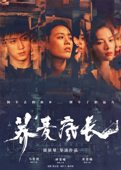 荞麦疯长的海报-预告海报 中国大陆