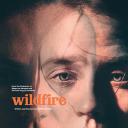 Wildfire