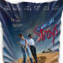 迷途美国