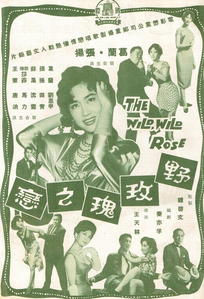 野玫瑰之恋的海报-正式海报
