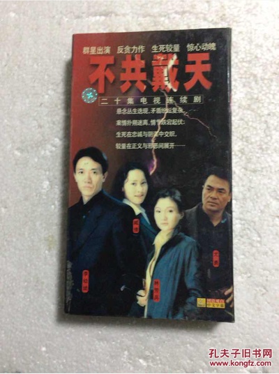 不共戴天的海报-正式海报
