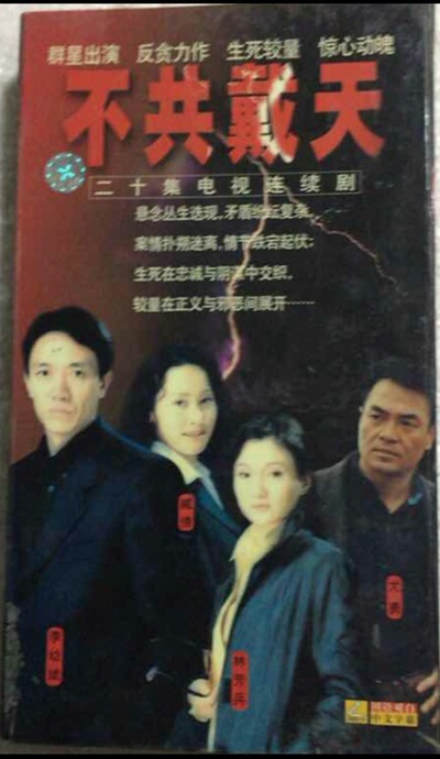 不共戴天的海报-正式海报