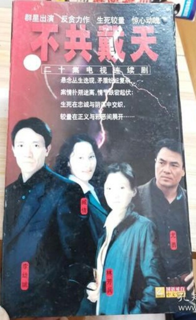 不共戴天的海报-正式海报