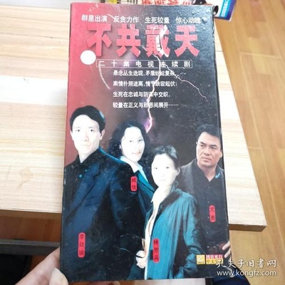不共戴天的海报-正式海报 中国大陆