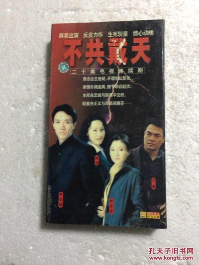 不共戴天的海报-正式海报 中国大陆