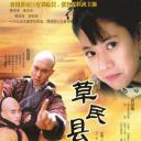 草民县令