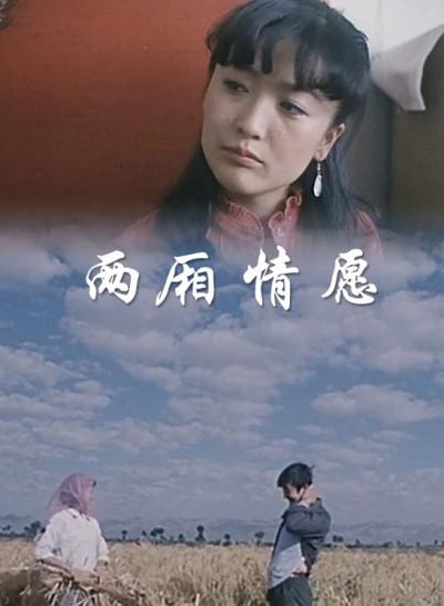 两厢情愿的海报-正式海报
