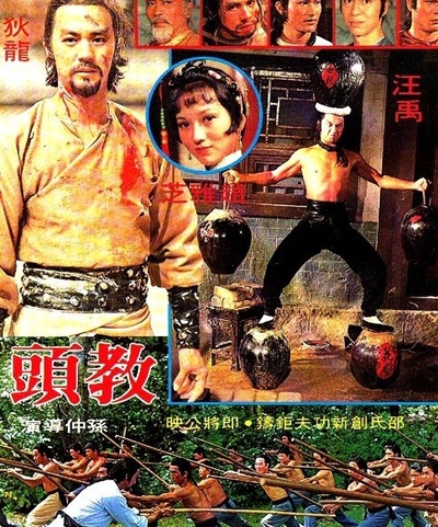 教头的海报-其他海报