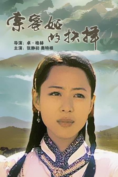 索密娅的抉择的海报-正式海报